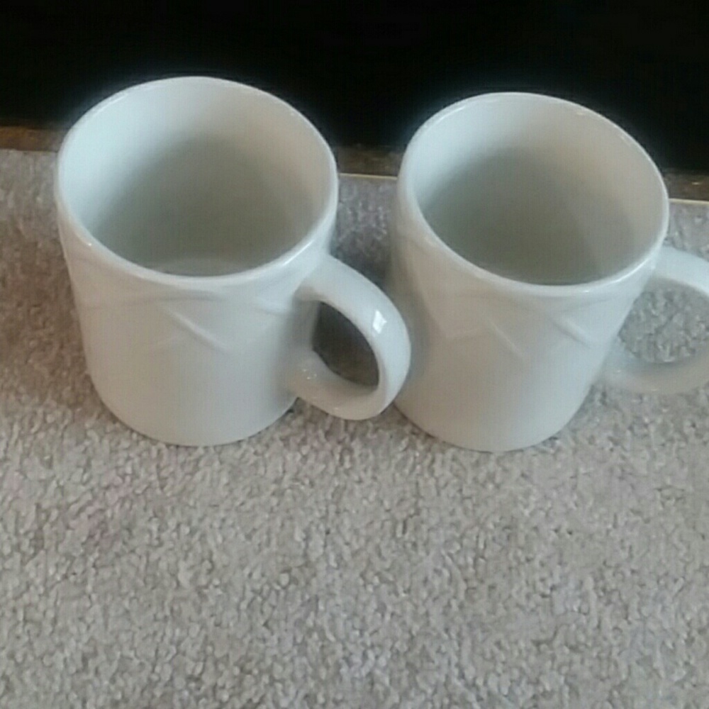 Oneida Pinic Cups Set of 2